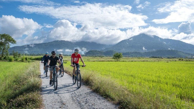 4 bicyclists riding on a gravel road through a paddy field in Langkawi, Malaysia