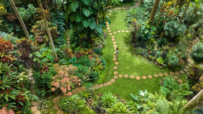A Guest walking on a stone path surrounded by foliage in Hunte’s Gardens at Bridgetown, Barbados A Guest walking on a stone path surrounded by foliage in Hunte’s Gardens at Bridgetown, Barbados