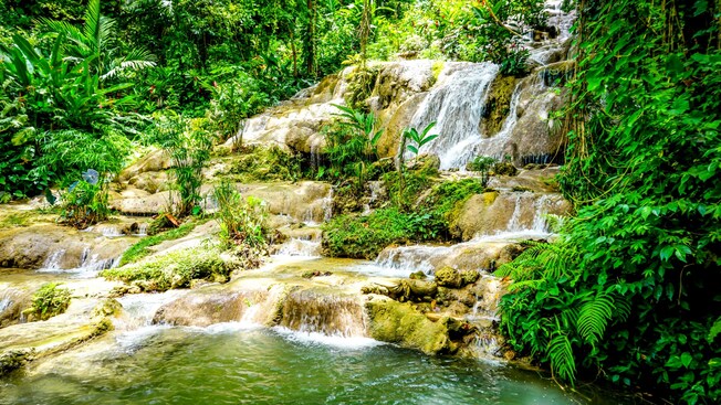 A waterfall cascading over rocks into a stream surrounded by tropical foliage