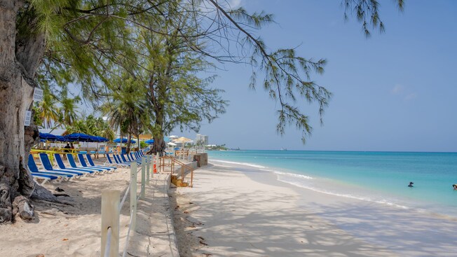 Beach chairs and a picket fence along a white sand beach