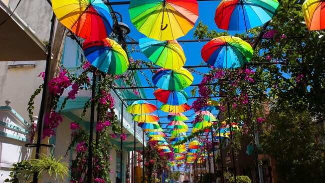 A system of frames support rainbow colored umbrellas and bougan villa plants above an alleyway in Puerto Plata’s Old Town