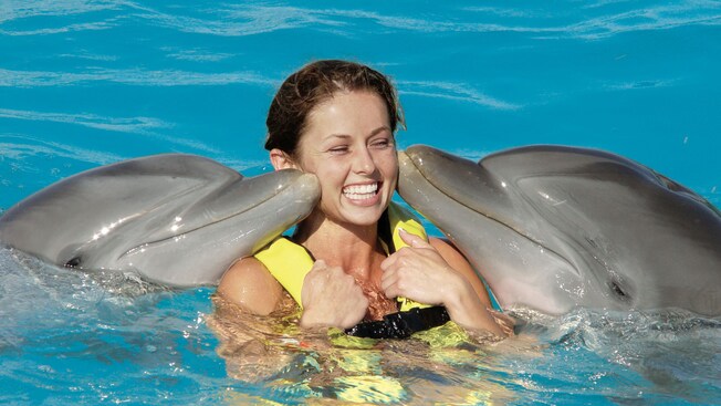A woman being nuzzled by 2 dolphins in the water at Dolphinaris in Cozumel, Mexico