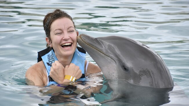 A Guest in the water receiving a kiss on the cheek from a dolphin