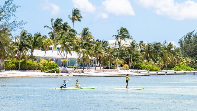 People paddleboarding in the water of Rum Point Beach, Cayman Islands