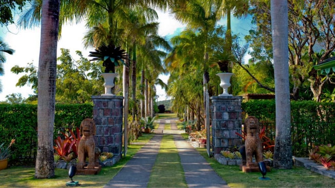 The entrance to Nevis Botanical Gardens, featuring a gate flanked by stone lion statues and a road lined with palm trees The entrance to Nevis Botanical Gardens, featuring a gate flanked by stone lion statues and a road lined with palm trees