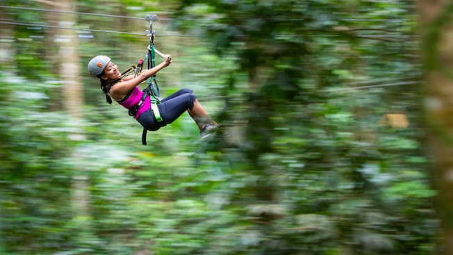 Una mujer disfruta de un paseo en tirolesa en el Rainforest Adventure Park en Santa Lucía Una mujer disfruta de un paseo en tirolesa en el Rainforest Adventure Park en Santa Lucía
