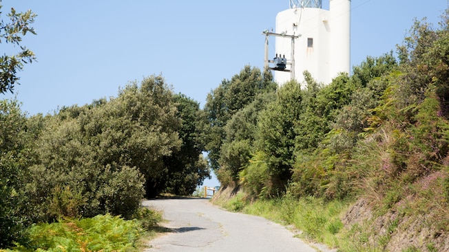 Una carretera rodeada de vegetación y que conduce al Faro Gorliz Una carretera rodeada de vegetación y que conduce al Faro Gorliz