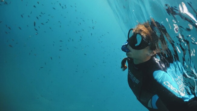 A person snorkeling near a school of small fish