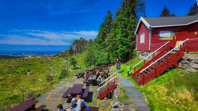 A group of people at Steinsfjellet viewpoint seated around picnic tables A group of people at Steinsfjellet viewpoint seated around picnic tables