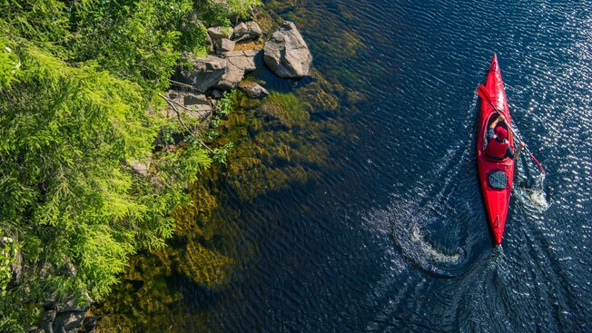 A person in a kayak paddling alongside a rocky shore full of lush greenery