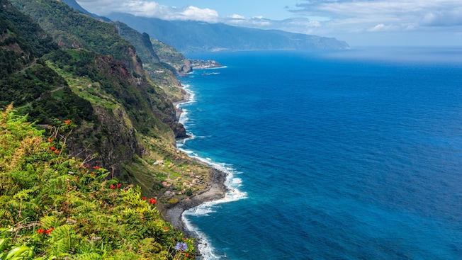 A coastal landscape featuring cliffs covered in greenery on the island of Madeira in Portugal A coastal landscape featuring cliffs covered in greenery on the island of Madeira in Portugal