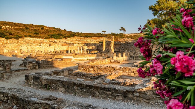 Ancient stone ruins with remnants of columns and walls on a hillside with flowers in the foreground