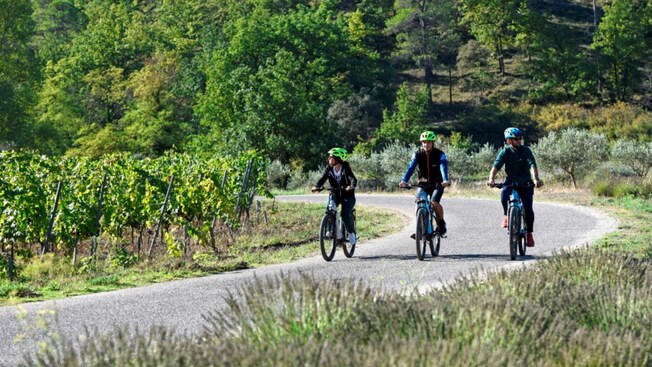 Three cyclists wearing helmets riding along a scenic paved path