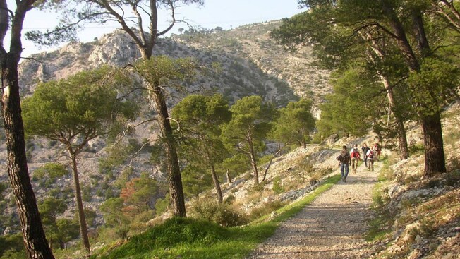 Guests hiking along a trail on Mont Faron, a mountain in Toulon, France