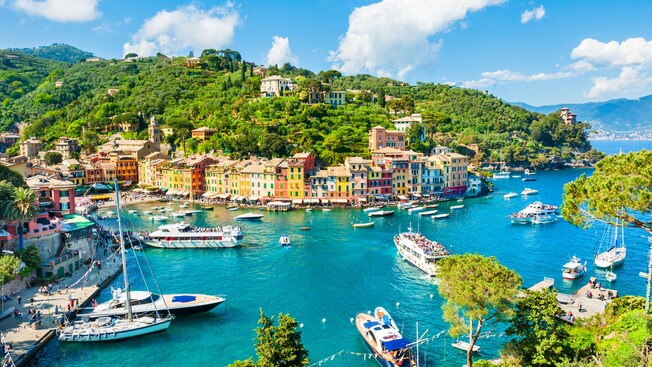 A harbor in Portofino with luxury boats moored along a waterfront lined with buildings set against a hillside surrounded by lush greenery