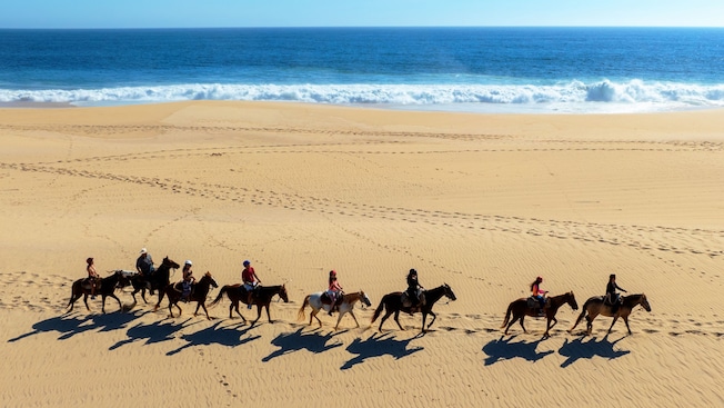 Eight Guests lined up during a horseback ride on a beach in Cabo San Lucas, Mexico Eight Guests lined up during a horseback ride on a beach in Cabo San Lucas, Mexico