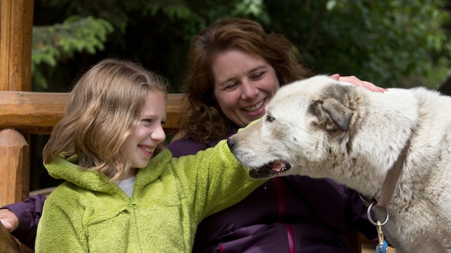 A woman and a young girl petting a sled dog A woman and a young girl petting a sled dog