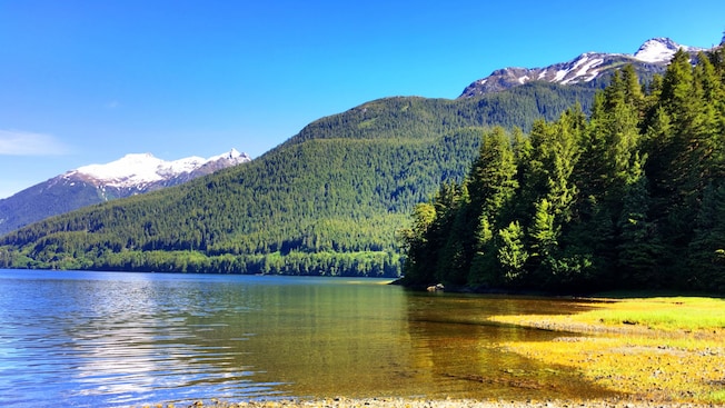 A bay surrounded by a forest and snowcapped mountains A bay surrounded by a forest and snowcapped mountains