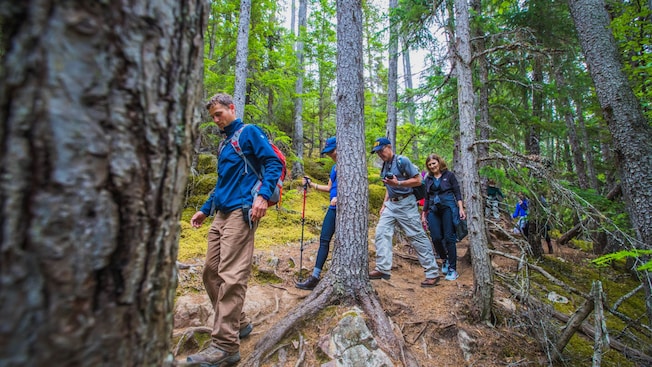A group of people traversing a section of the Chilkoot Trail in Skagway, Alaska. A group of people traversing a section of the Chilkoot Trail in Skagway, Alaska.