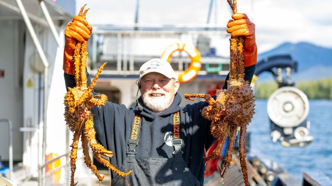 A crab fisherman holding up 2 large king crabs