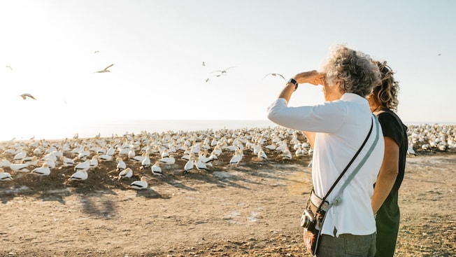 Two women standing next to each other near a gannet colony on a New Zealand beach Two women standing next to each other near a gannet colony on a New Zealand beach