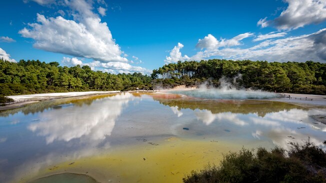 A geothermal area with a pool, a green forest and people on walking tracks