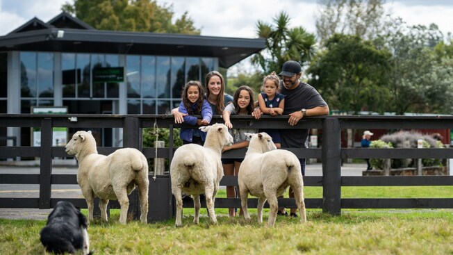A family of 5 behind a wooden fence at a farm, with 3 sheep and a border collie dog in the foreground in New Zealand