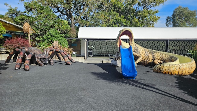A playground at Wellington Zoo featuring 2 structures shaped like a large tarantula and a lizard with a slide coming out of its gaping mouth A playground at Wellington Zoo featuring 2 structures shaped like a large tarantula and a lizard with a slide coming out of its gaping mouth