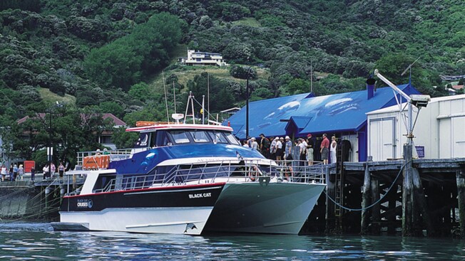 A catamaran tour boat docked at a pier with a group of Guests gathered near buildings and lush green hillside