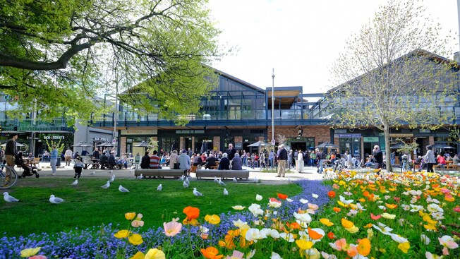 Riverside Market in Christchurch, New Zealand near a garden with trees, Iceland poppies and seagulls scattered on the grass