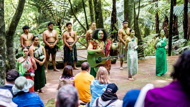 Un grupo de artistas maoríes en el escenario frente a una audiencia en un bosque.