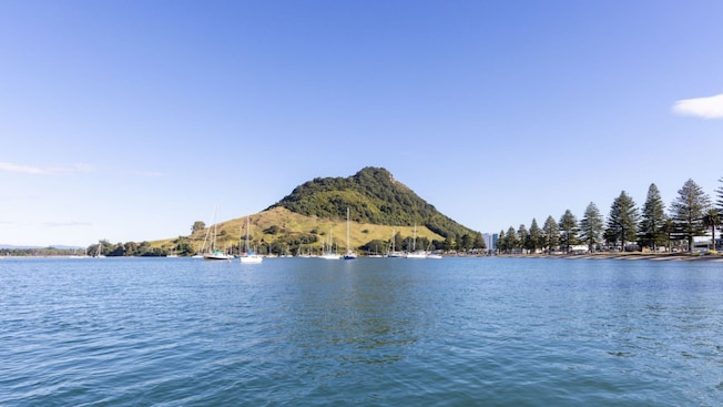 A mountain peak with sailboats in the harbor and a tree lined shoreline A mountain peak with sailboats in the harbor and a tree lined shoreline