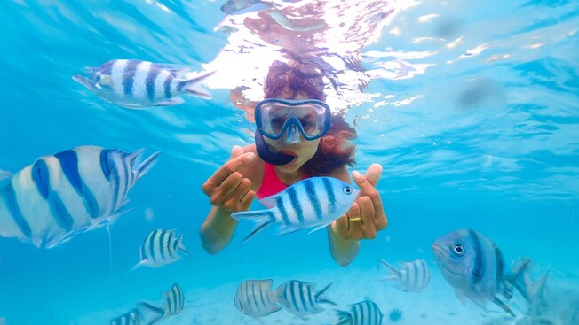 A girl making finger hearts while snorkeling with fish in Cozumel, Mexico