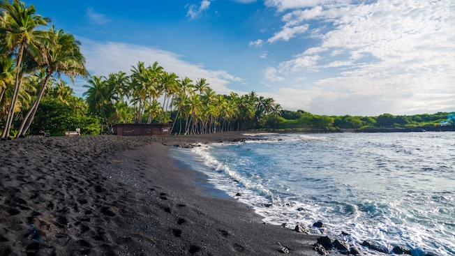 Water lapping onto the shore of a tropical beach with palm trees Water lapping onto the shore of a tropical beach with palm trees
