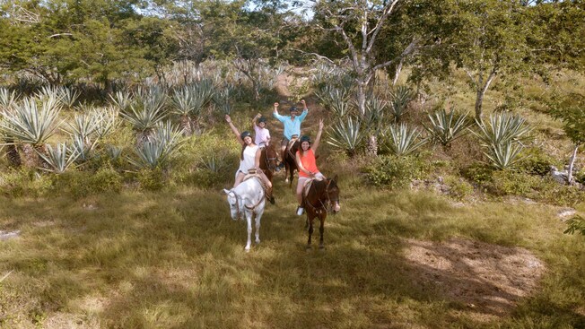 4 people posing with their hands up while horseback riding in a desert environment