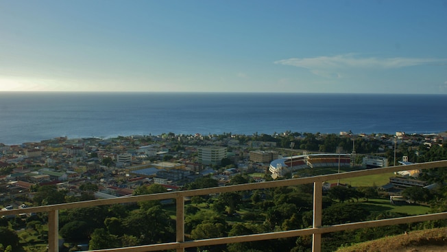 A coastal city with buildings and leafy trees A coastal city with buildings and leafy trees