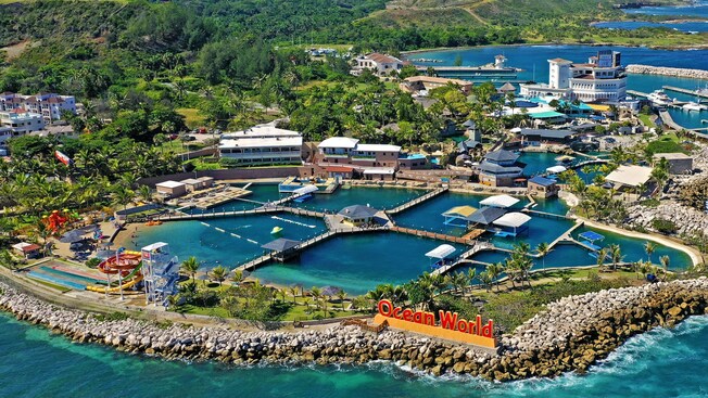 Árboles tropicales rodeando un parque acuático con varias piscinas y toboganes de agua