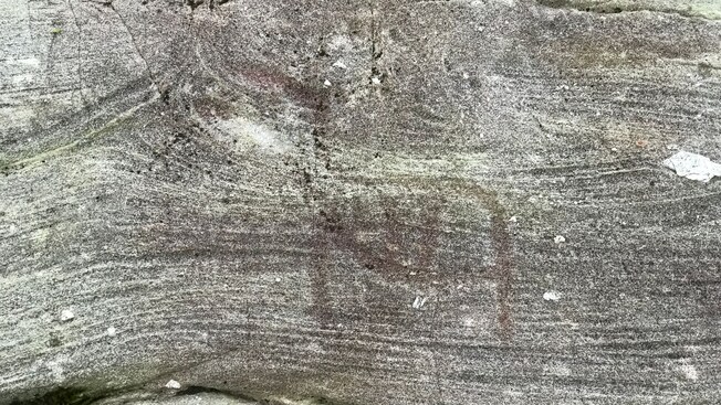Um pedaço de madeira fossilizada com uma talha neolítica