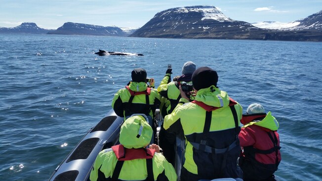 Five passengers on a boat photographing a breaching whale