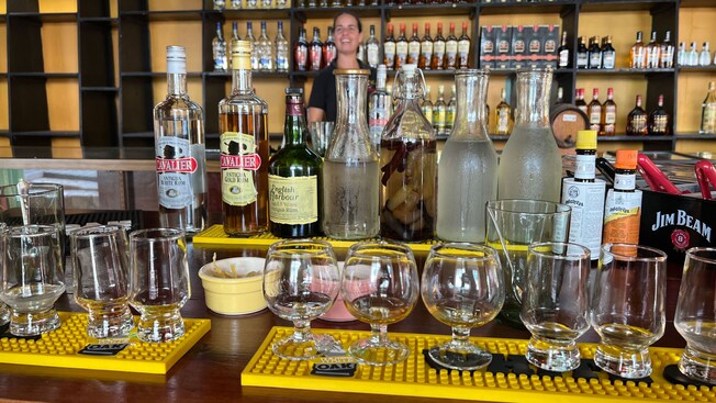 A table with different rum bottles, glasses and cocktail making equipment at a traditional rum shop in Saint John’s