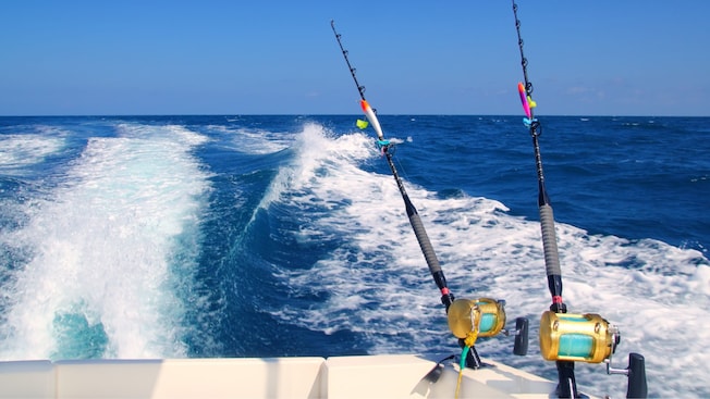 The wake of a powerboat with 2 fishing rod holders The wake of a powerboat with 2 fishing rod holders