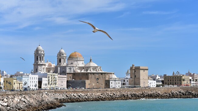 The city of Cádiz, Spain featuring the Catedral de la Santa Cruz de Cádiz