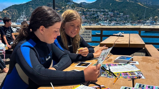Two girls wearing wetsuits while sitting at a table and looking at nature photography near Santa Catalina Island, California Two girls wearing wetsuits while sitting at a table and looking at nature photography near Santa Catalina Island, California