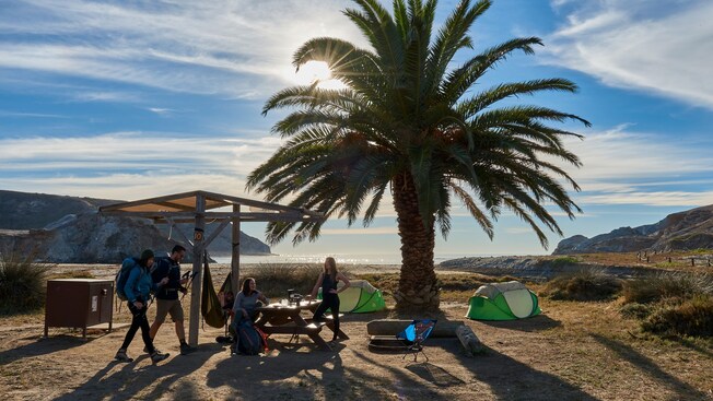 Five Guests with camping gear near a palm tree overlooking a shoreline with 2 tents, a hammock, a chair and a picnic table