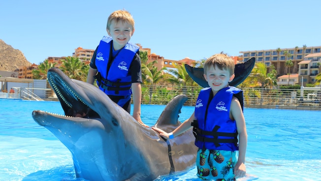 Two boys in a pool petting a dolphin Two boys in a pool petting a dolphin
