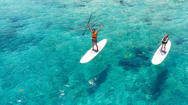 Pessoas em pé em pranchas de stand up paddle no mar em Cozumel, México Pessoas em pé em pranchas de stand up paddle no mar em Cozumel, México