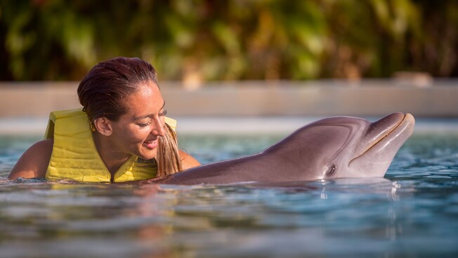 A woman in a pool with a dolphin