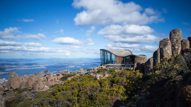 A modern curvilinear building surrounded by brush and boulders