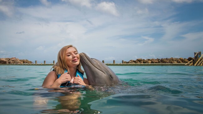 A dolphin presses its nose against a Guest’s cheek