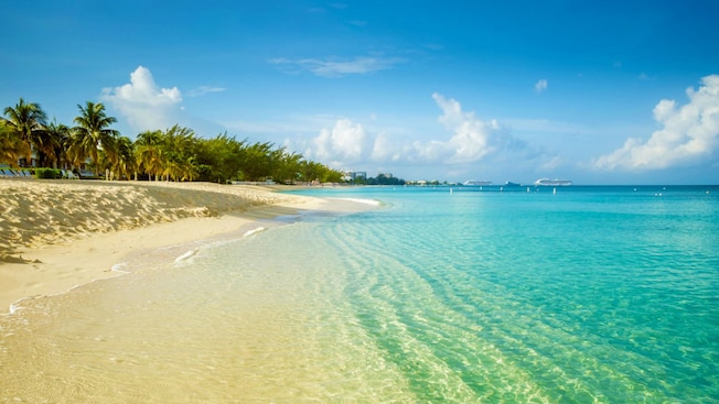 A shore with a calm sea, sand and palm trees A shore with a calm sea, sand and palm trees